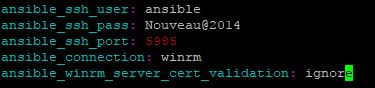 Ansible : installation et administrations des serveurs Windows