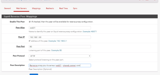 Pfsense : Mise en place d'un reverse proxy